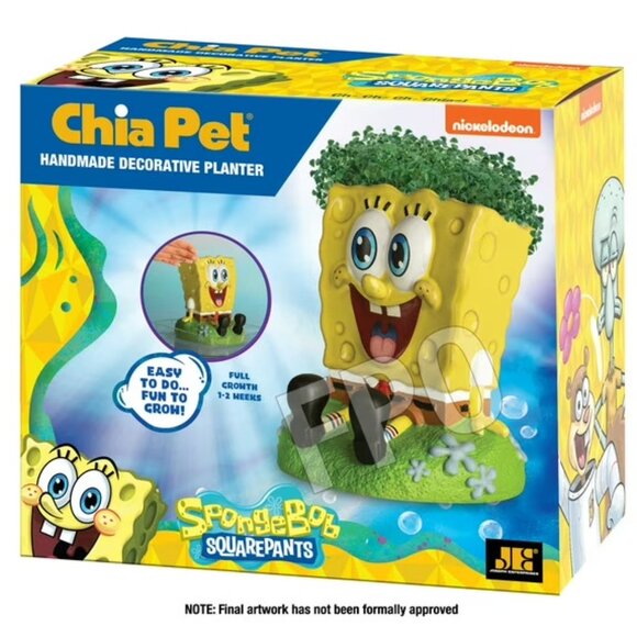 Chia Pet Sponge Bob - Handmade Funny Decorative Terracotta Planter Yellow NEW - Picture 6 of 12